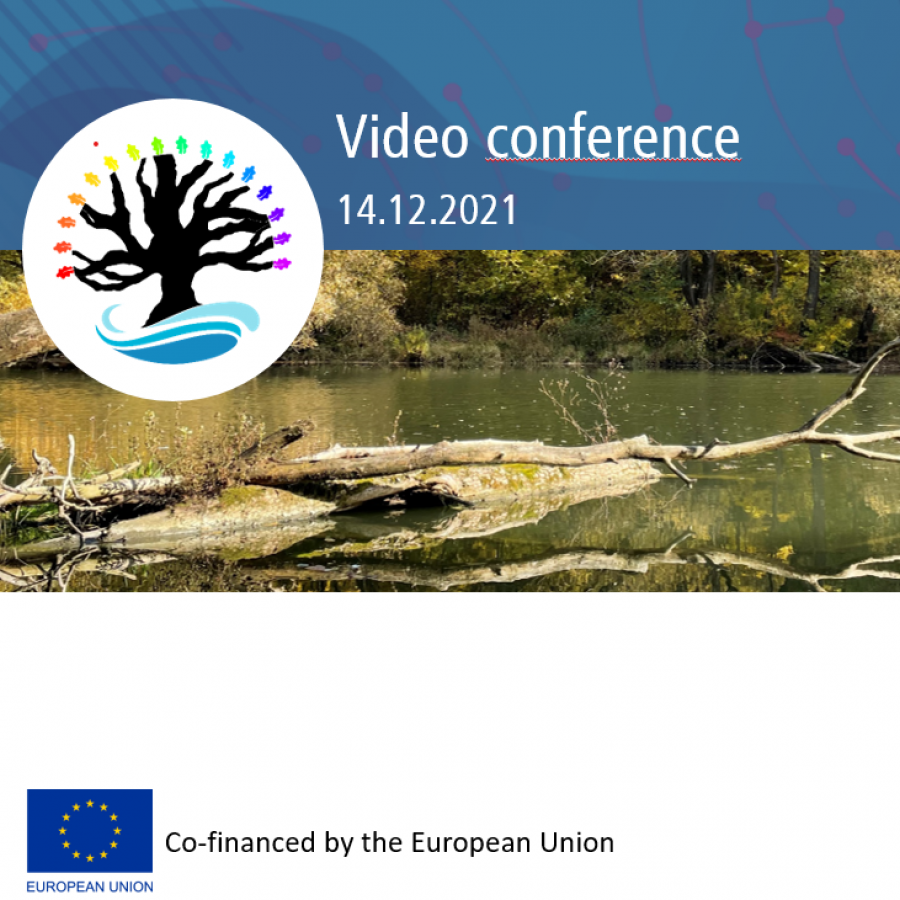 1. Відео-конференція EFFUSE
